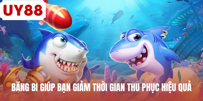 Băng bi giúp bạn giảm thời gian thu phục hiệu quả