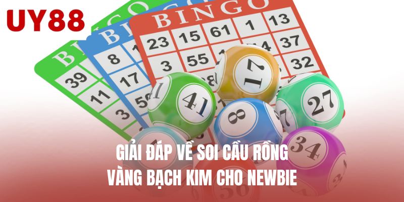 Giải đáp về soi cầu rồng vàng bạch kim cho newbie