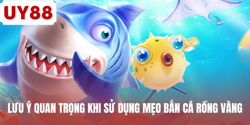Lưu ý quan trọng khi sử dụng mẹo bắn cá rồng vàng