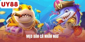 meo-ban-ca-nhan-ngu