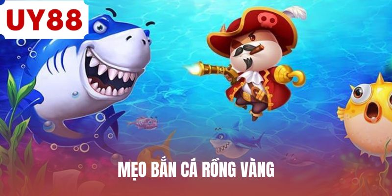 meo-ban-ca-rong-vang