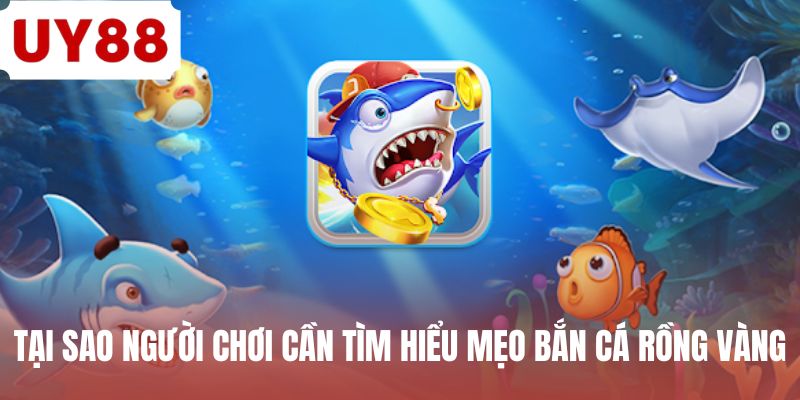 Tại sao người chơi cần tìm hiểu mẹo bắn cá rồng vàng